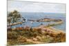 The Cobb, Lyme Regis, from Holmbush-Alfred Robert Quinton-Mounted Giclee Print