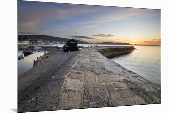 The Cobb with the cliffs of Jurassic Coast at sunrise, Lyme Regis, Dorset, England, United Kingdom,-Stuart Black-Mounted Premium Photographic Print