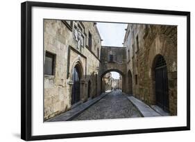 The Cobblestoned Street of the Knights-Michael Runkel-Framed Photographic Print