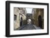 The Cobblestoned Street of the Knights-Michael Runkel-Framed Photographic Print
