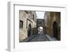 The Cobblestoned Street of the Knights-Michael Runkel-Framed Photographic Print