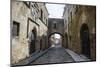 The Cobblestoned Street of the Knights-Michael Runkel-Mounted Photographic Print