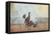 The Cock Fight, 1885-Winslow Homer-Framed Stretched Canvas