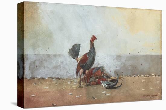 The Cock Fight, 1885-Winslow Homer-Stretched Canvas