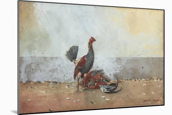 The Cock Fight, 1885-Winslow Homer-Mounted Giclee Print