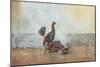 The Cock Fight, 1885-Winslow Homer-Mounted Giclee Print