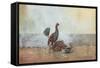 The Cock Fight, 1885-Winslow Homer-Framed Stretched Canvas