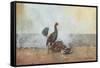 The Cock Fight, 1885-Winslow Homer-Framed Stretched Canvas