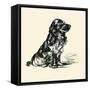 The Cocker Spaniel-Lucy Dawson-Framed Stretched Canvas