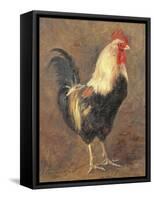 The Cockerel, 1999-Antonia Myatt-Framed Stretched Canvas