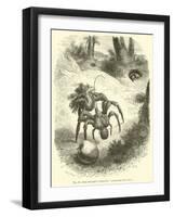 The Cocoanut-"Stealing" Land-Crab, Birgus Latro-null-Framed Giclee Print