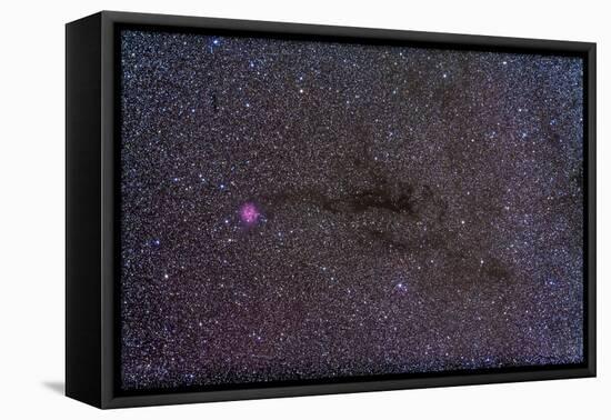 The Cocoon Nebula in the Constellation Cygnus-null-Framed Stretched Canvas