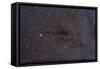 The Cocoon Nebula in the Constellation Cygnus-null-Framed Stretched Canvas