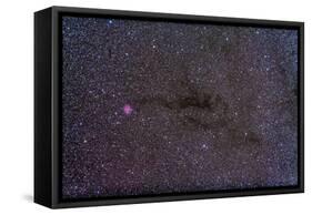 The Cocoon Nebula in the Constellation Cygnus-null-Framed Stretched Canvas