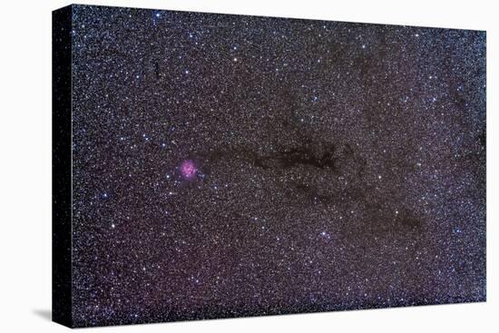 The Cocoon Nebula in the Constellation Cygnus-null-Stretched Canvas