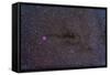 The Cocoon Nebula in the Constellation Cygnus-null-Framed Stretched Canvas