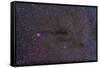 The Cocoon Nebula in the Constellation Cygnus-null-Framed Stretched Canvas