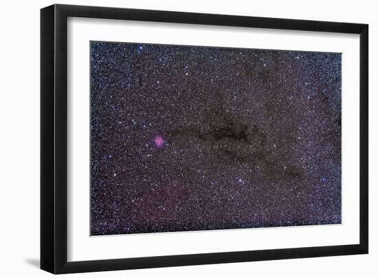 The Cocoon Nebula in the Constellation Cygnus-null-Framed Photographic Print