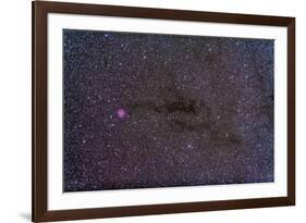 The Cocoon Nebula in the Constellation Cygnus-null-Framed Photographic Print