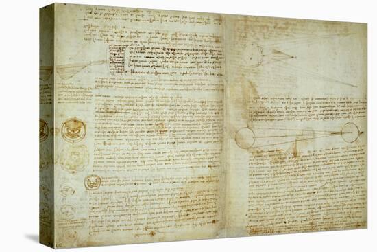 The Codex Hammer Pages 48-51-Leonardo da Vinci-Stretched Canvas