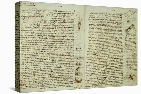 The Codex Hammer-Leonardo da Vinci-Stretched Canvas