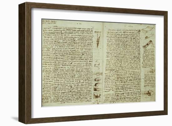The Codex Hammer-Leonardo da Vinci-Framed Giclee Print