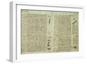 The Codex Hammer-Leonardo da Vinci-Framed Giclee Print