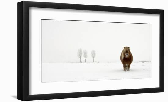 The Cold Pony-Gert Van Den-Framed Giclee Print