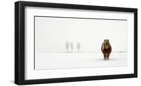 The Cold Pony-Gert Van Den-Framed Giclee Print