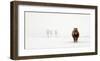 The Cold Pony-Gert Van Den-Framed Giclee Print