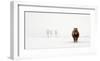 The Cold Pony-Gert Van Den-Framed Giclee Print