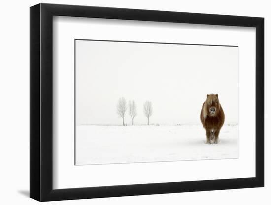 The Cold Pony-Gert Van Den-Framed Photographic Print