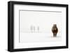 The Cold Pony-Gert Van Den-Framed Photographic Print