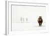 The Cold Pony-Gert Van Den-Framed Photographic Print