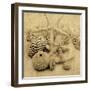 The Collection I-John Seba-Framed Photo