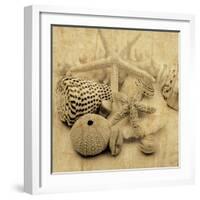 The Collection I-John Seba-Framed Photo