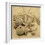 The Collection I-John Seba-Framed Photo