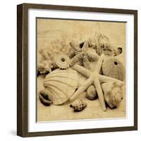 The Collection II-John Seba-Framed Photo