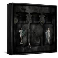 The Collector-Lydia Marano-Framed Stretched Canvas