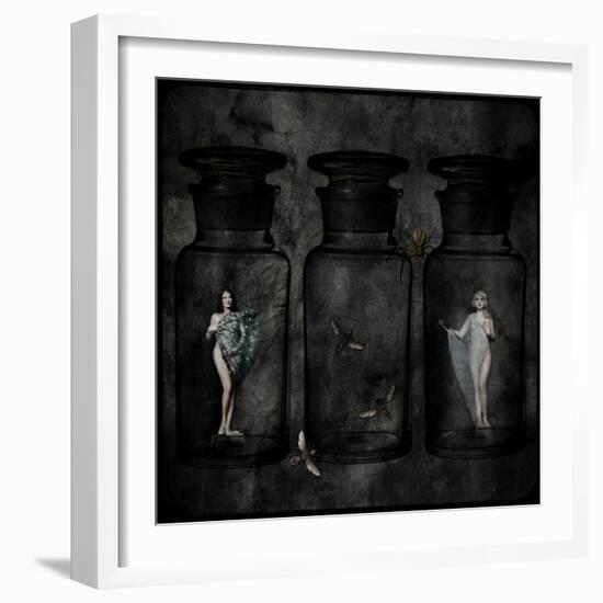 The Collector-Lydia Marano-Framed Photographic Print