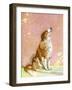 The Collie-Diana Thorne-Framed Art Print