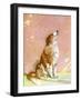 The Collie-Diana Thorne-Framed Art Print