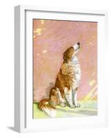 The Collie-Diana Thorne-Framed Art Print