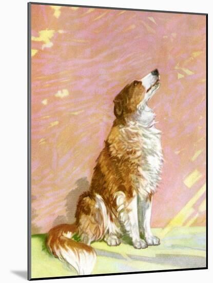 The Collie-Diana Thorne-Mounted Art Print