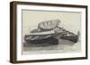 The Collision in the Channel, Boats Ashore on Chesil Bank-null-Framed Premium Giclee Print