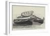 The Collision in the Channel, Boats Ashore on Chesil Bank-null-Framed Premium Giclee Print