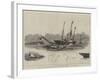 The Collision in the Solent, the Alberta Meeting the Mistletoe-William Edward Atkins-Framed Giclee Print