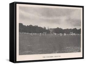 The Colombo Cricket Ground, Ceylon, 1912-null-Framed Stretched Canvas