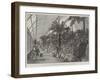 The Colonial and Indian Exhibition, the Fernery in the New Zealand Court-null-Framed Giclee Print