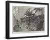 The Colonial and Indian Exhibition, the Fernery in the New Zealand Court-null-Framed Giclee Print